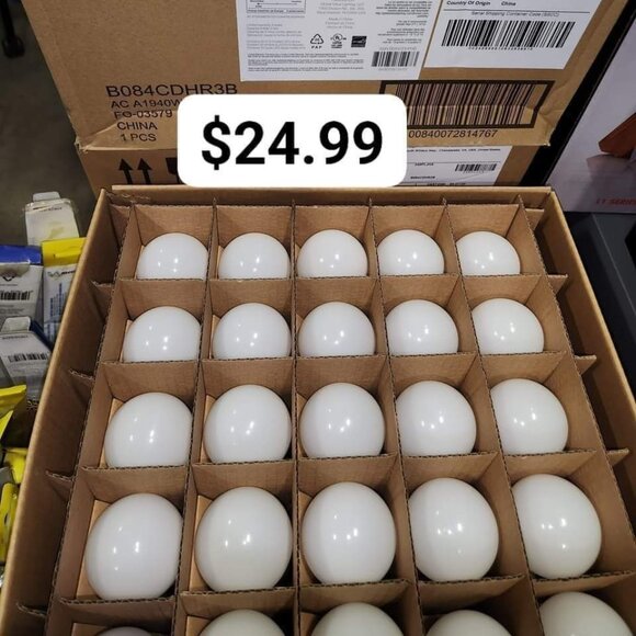 Amazon Basic 50 count bulbs - Picture 1 of 1